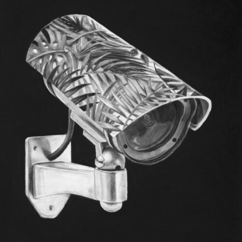 Charcoal on paper, 60 × 80 cm, 2018